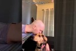 Wen der Hund wirklich liebt