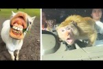 Video - Die besten Videos 2025 (Teil 55)